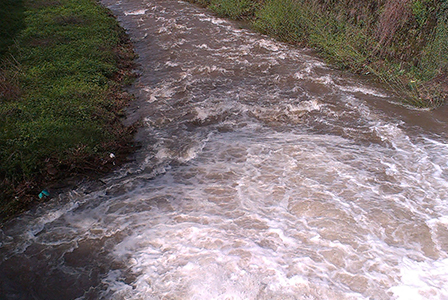 Евакуират добричко село