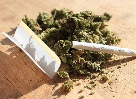 Германия разреши марихуаната за медицински нужди