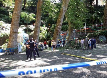 Най-малко 13 души загинаха от паднало дърво на остров Мадейра